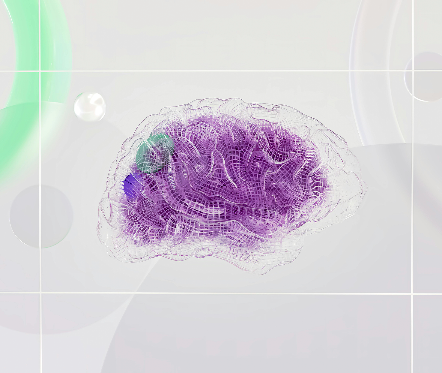 Brain